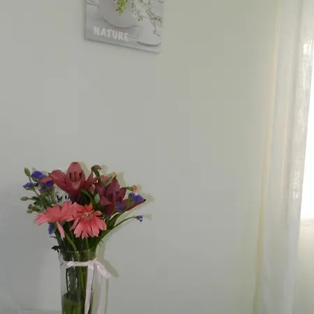 Jp Guest House Aveiro Exterior photo