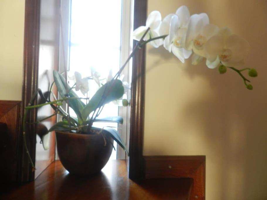 Homestay Jp